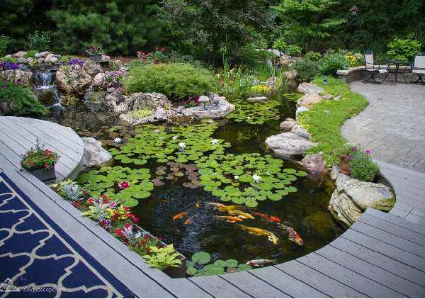 a Relaxing Garden Feature