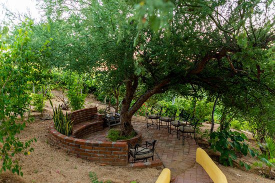 greenery backyard oasis for recreation