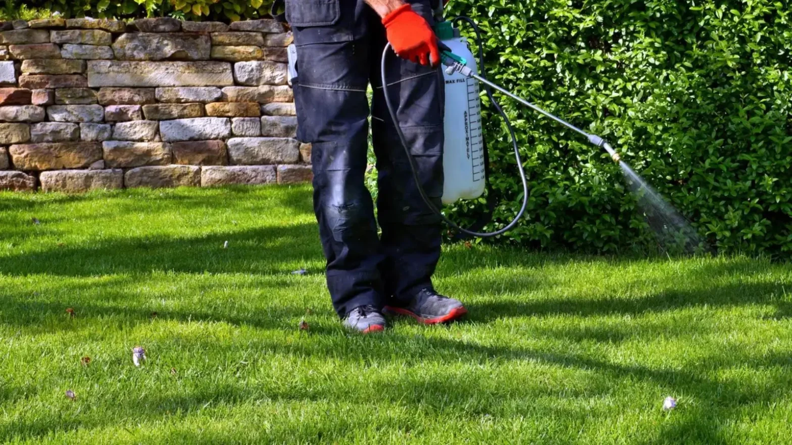 best weed killer for Bermuda lawns
