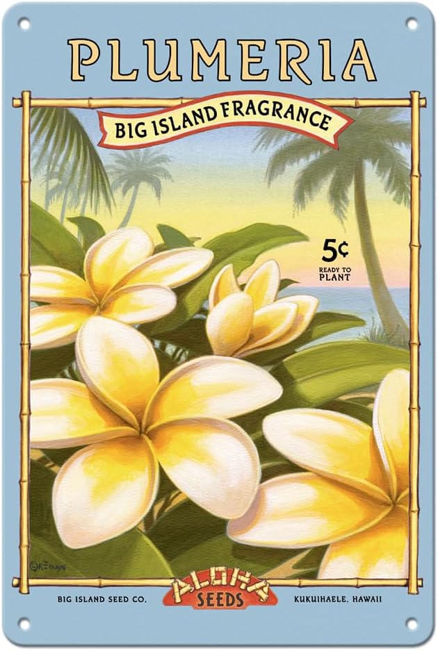 a pack of plumeria flower seeds